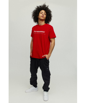 Футболка мужская