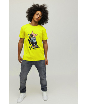 Футболка мужская