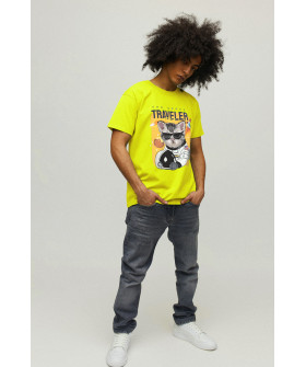 Футболка мужская