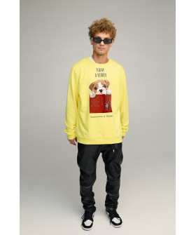 Свитшот мужской OVERSIZE /no flis/