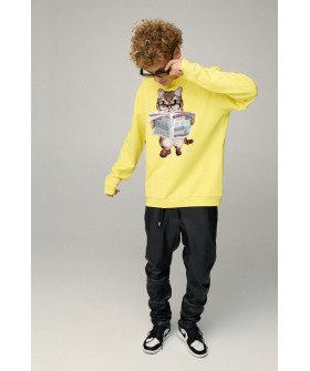 Свитшот мужской OVERSIZE /no flis/