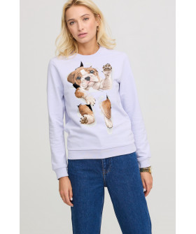 Women's sweatshirt basic /no flis/ 