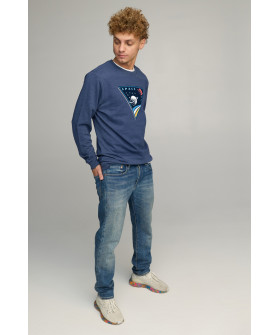 Свитшот мужской BASIC /no flis/