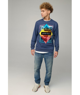 Світшот чоловічий BASIC /no flis/