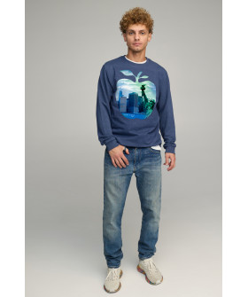 Свитшот мужской BASIC /no flis/