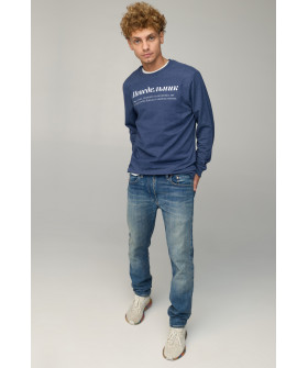 Свитшот мужской BASIC /no flis/