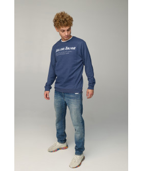 Світшот чоловічий BASIC /no flis/