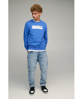 Світшот чоловічий BASIC /no flis/