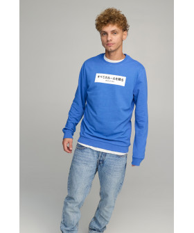 Men's sweatshirt BASIC /no flis/