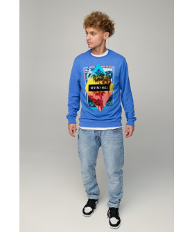 Світшот чоловічий BASIC /no flis/