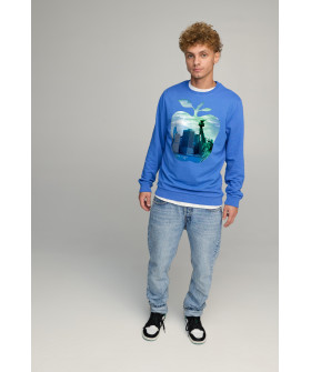 Світшот чоловічий BASIC /no flis/