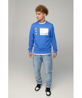 Свитшот мужской BASIC /no flis/