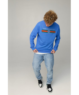 Свитшот мужской BASIC /no flis/