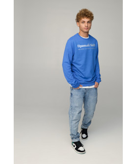 Свитшот мужской BASIC /no flis/