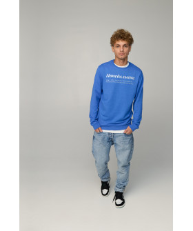 Свитшот мужской BASIC /no flis/