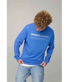 Men's sweatshirt BASIC /no flis/