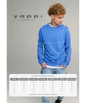 Світшот чоловічий BASIC /no flis/