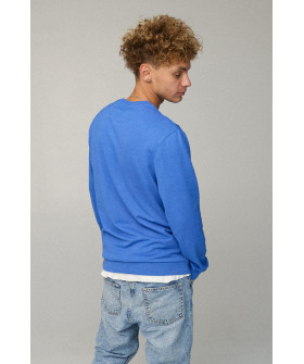 Свитшот мужской BASIC /no flis/