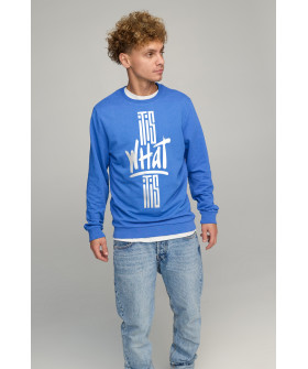 Men's sweatshirt BASIC /no flis/