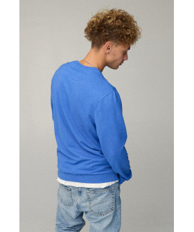 Світшот чоловічий BASIC /no flis/