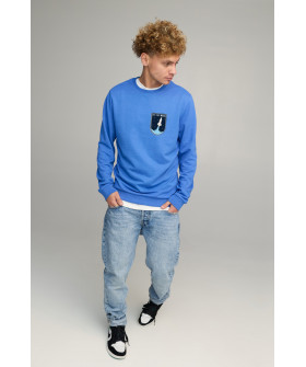 Свитшот мужской BASIC /no flis/