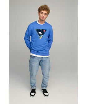 Свитшот мужской BASIC /no flis/