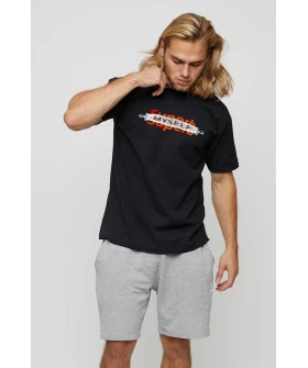 Футболка чоловіча basic /air print/